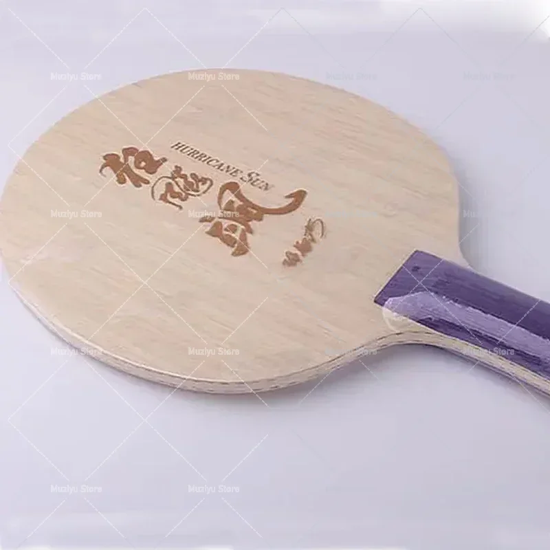 Table Tennis Champion - Pala de tenis de mesa DHS
