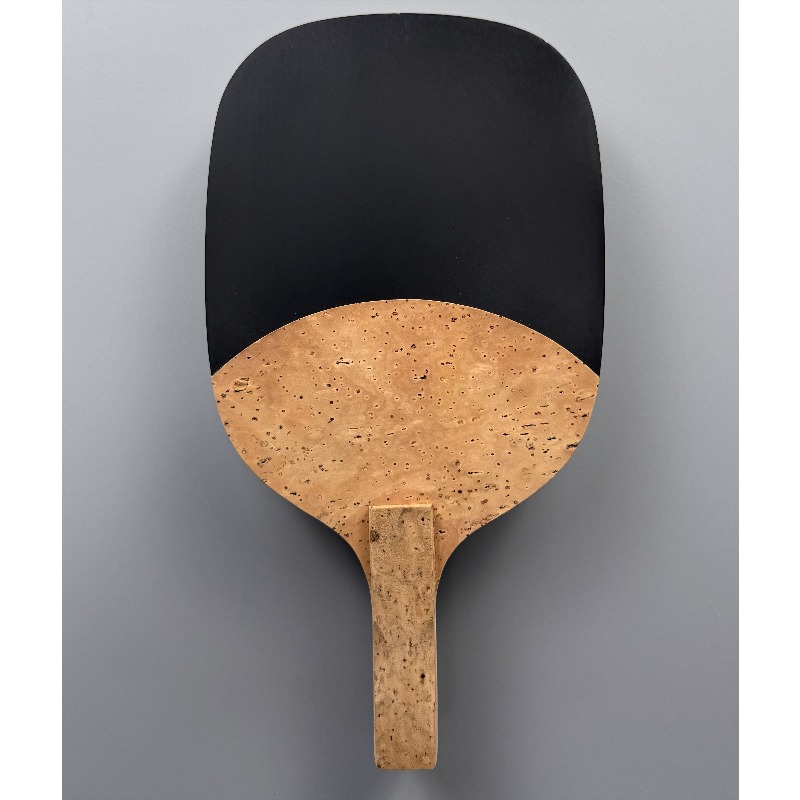 Pala de tenis de mesa profesio - Table Tennis In Japanese reseña y precio