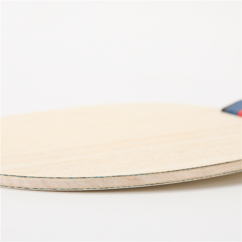 Stuor-raqueta de Ping Pong de  - Table Tennis Logo Free reseña y precio