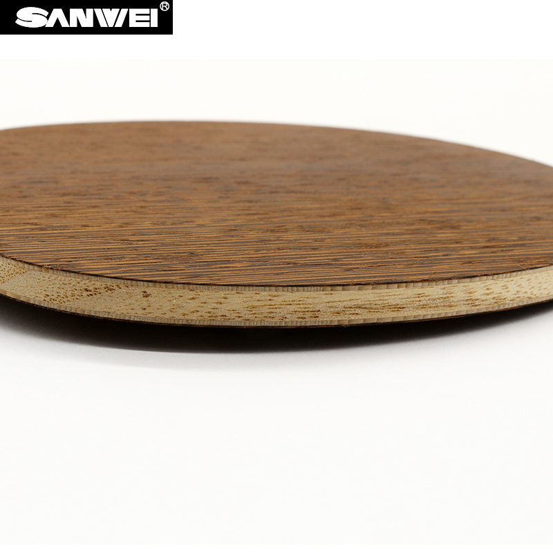 Raqueta de tenis de mesa SANWE - Table Tennis Japan reseña y precio