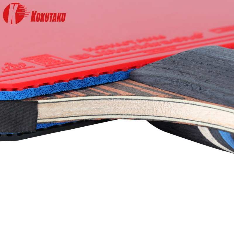 Raqueta de ping pong profesion - Table Tennis Japan reseña y precio